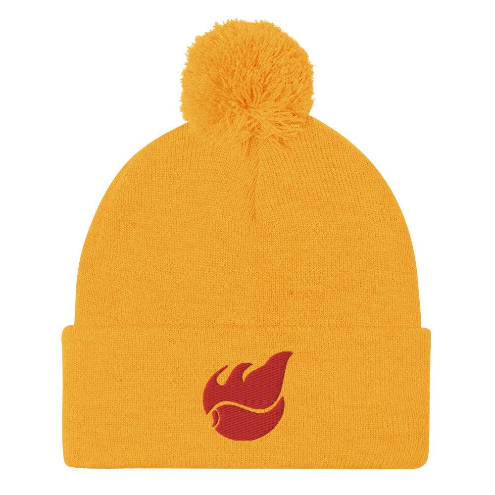 Pom-Pom Beanie